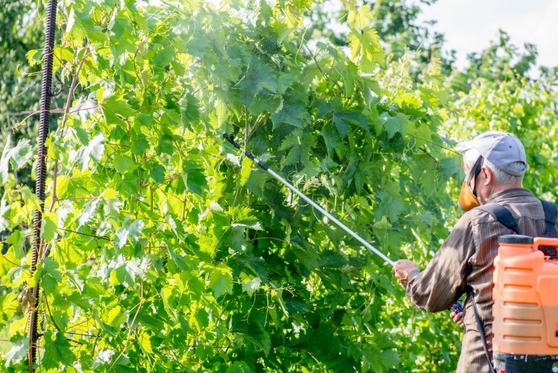 Contact About Arbor Staining