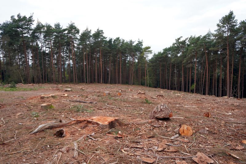 Accessibility and Location