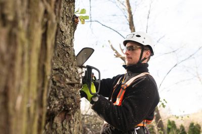 Certified Tree Health Experts