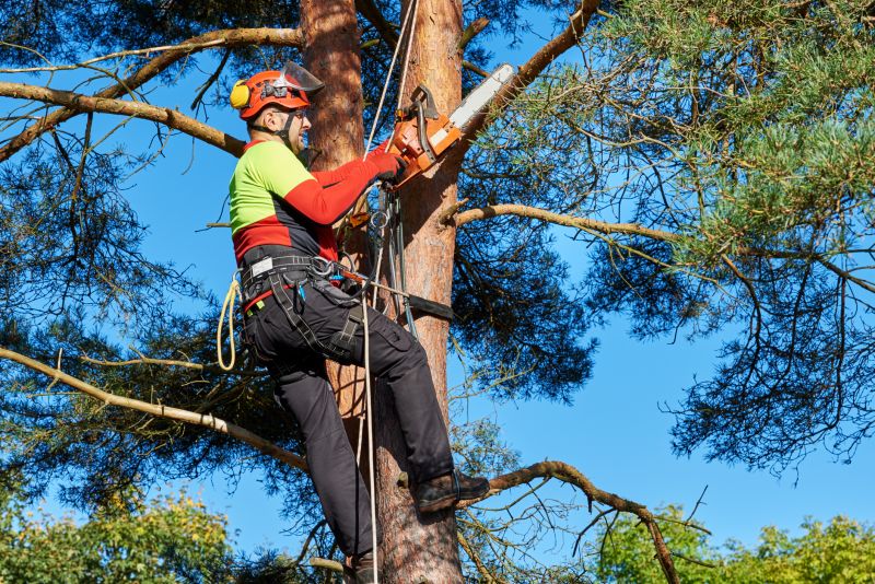 Arboricultural Consultants